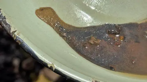 Thuthuka Zondi/BBC Small nuggets of gold in a pan in a residue of water and soil.