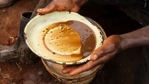 EPA/Shutterstock A close-up of someone's hands sifting through soil for gold deposits east of Johannesburg.