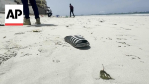 5 bodies of migrants washed ashore in east of Libya’s capital Tripoli, police officer says