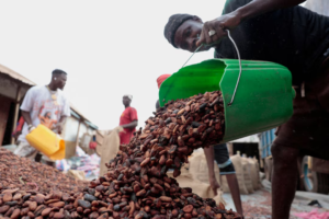 Ivory Coast considers following Ghana with cocoa price cut, sources say