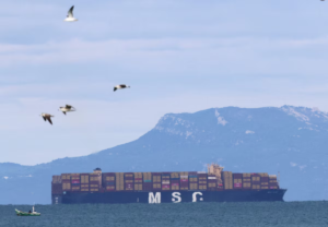 MSC imposes war surcharge on shipments to Africa and Indian Ocean islands