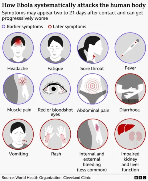 A BBC graphic explains Ebola's effects on the body