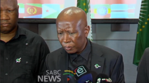 Evacuation of Ghanaians from SA: ‘Ghana’s response was not necessary’ – Julius Malema