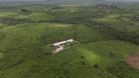 Reuters An aerial shot showing an expanse of green forest with a compound of buildings in the middle surrounded by a wall.