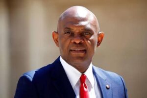 VIDEO: I don’t subscribe to Oyinbo life, Nigeria’s Elumelu schools lady for calling him by first name